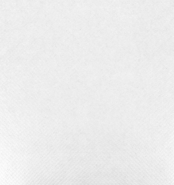 Mantel de Papel Rollo Blanco 1x100m. 40g (6 Uds)