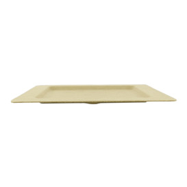 Plato Hendidura Caña de Azucar Natural 20cm (50 Uds)