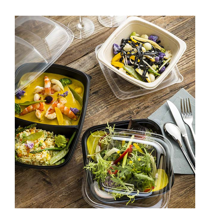 envases comida para llevar