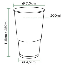 Vaso de Plástico PP Transparente 250ml (3.000 Uds)