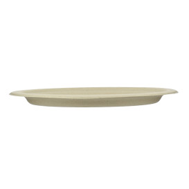 Bandeja Caña de Azucar Natural 263x199x20mm (800 Uds)