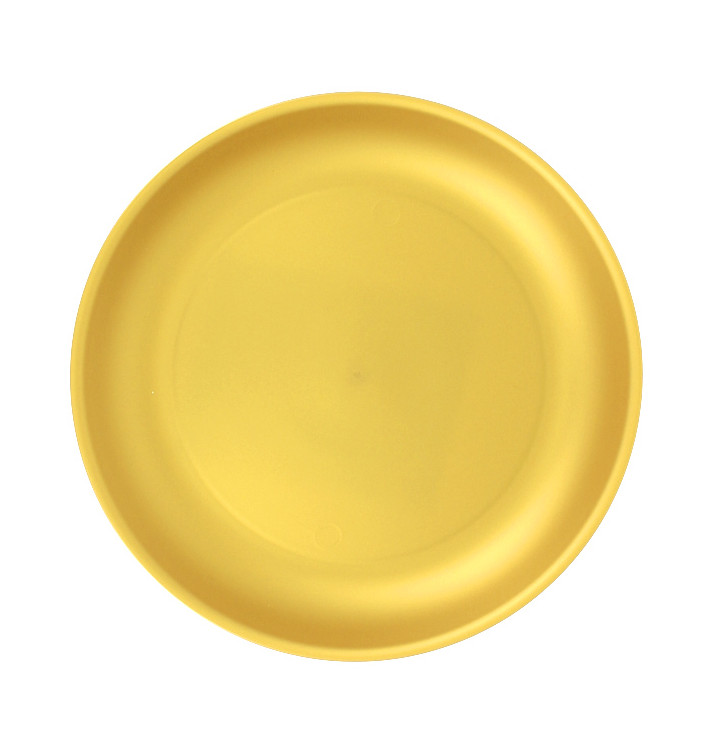 Plato de plástico reutilizable