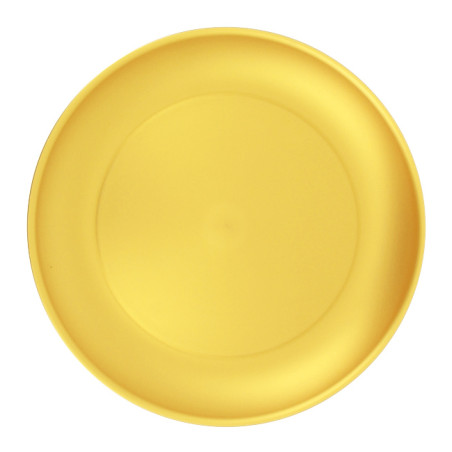 Plato Reutilizable Durable PP Mineral Oro Ø23,5cm (54 Uds)