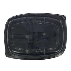 Tapa PP Translúcida Envase 1050/1250ml 255x189x20mm (320 Uds)