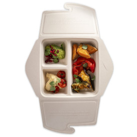 Envase MenuBox Caña de Azúcar 3C 21x21x4cm 900ml (100 Uds)