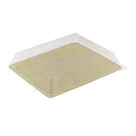 Tapa de Plástico PET 27x20cm (10 Uds)