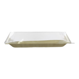 Tapa de Plástico PET 27x20cm (200 Uds)