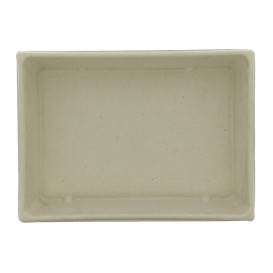 Bandeja Caña de Azúcar con tapa 750ml 220x160x60mm (15 Uds)