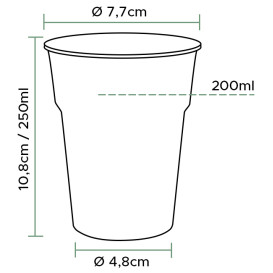 Vaso de Cerveza PP Transparente 200 ml (40 Unidades)