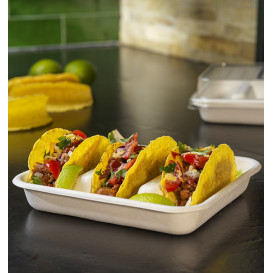 Envase para Tacos de Caña de Azúcar Blanco 18,5x18,5cm (300 Uds)