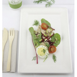 Bandeja Caña de Azúcar Blanco 200x280mm (40 Uds)