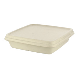 Tapa de Caña de Azúcar para Envase 230x230mm (300 Uds)
