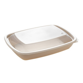 Tapa para Envase Rectangular Negro y Crema 23x16,5cm (300 Uds)