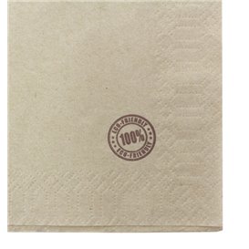 Servilleta de Papel Eco "Recycled" 33x33cm 1C (100 Uds)