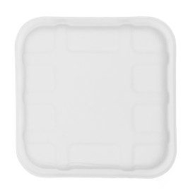 Bandeja de Caña de Azúcar 14,1x14,1,5cm (50 Uds)