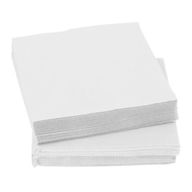 Servilleta de Papel Micropunto 20x20cm 2C Blanca (100 Uds)
