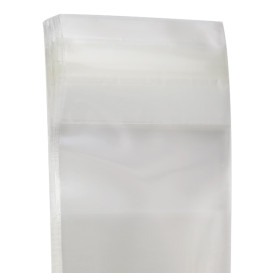 Bolsas de Plástico Biorientado con Solapa Adhesiva 4x6 cm G-160 (100 Uds)