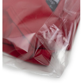 Bolsas Polipropileno CPP Solapa Adhesiva 25x35cm G160 (1000 Uds)