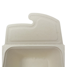 Envase Box to Go Caña de Azúcar 17x13x7cm 750ml. (100 Uds)