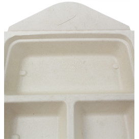 Envase Box to Go Caña de Azúcar 3C 21x21x4cm 900ml (100 Uds)