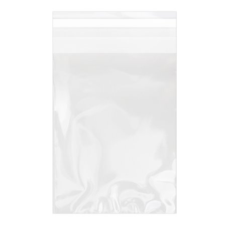 Bolsas de Plástico Biorientado con Solapa Adhesiva 11x16 cm G-160 (100 Uds)