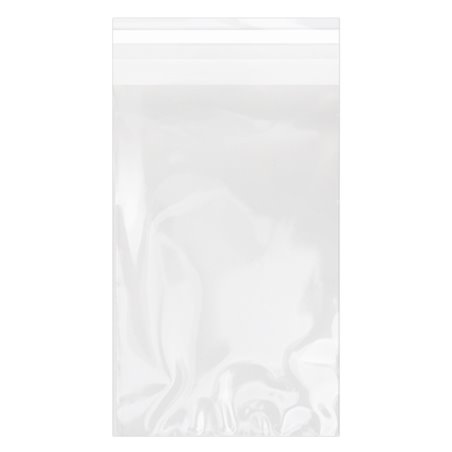 Bolsas de Plástico Biorientado con Solapa Adhesiva 12x18 cm G-160 (100 Uds)