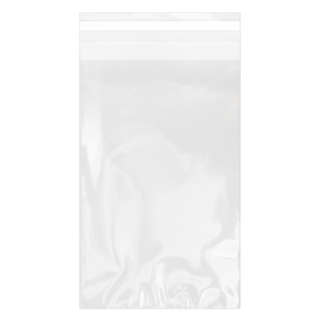 Bolsas de Plástico Biorientado con Solapa Adhesiva 12x18 cm G-160 (100 Uds)