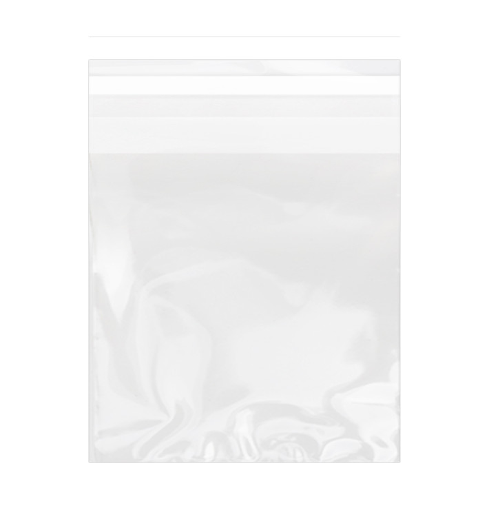 Bolsas de Plástico Biorientado con Solapa Adhesiva 14x14 cm G-160 (100 Uds)