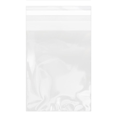 Bolsas de Plástico Biorientado con Solapa Adhesiva 15x22 cm G-160 (100 Uds)