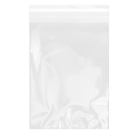 Bolsas de Plástico Biorientado con Solapa Adhesiva 18x25 cm G-160 (100 Uds)