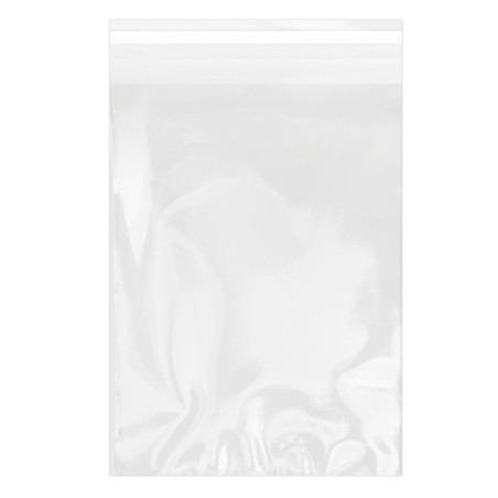 Bolsas de Plástico Biorientado con Solapa Adhesiva 18x25 cm G-160 (100 Uds)