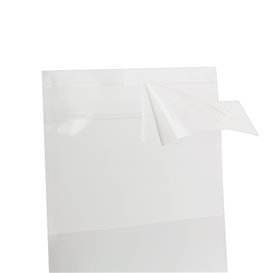 Bolsas de Plástico Biorientado con Solapa Adhesiva 5,5x5,5 cm G-160 (100 Uds)