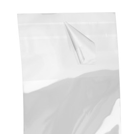 Bolsas de Plástico Biorientado con Solapa Adhesiva 6x8 cm G-160 (1000 Uds)