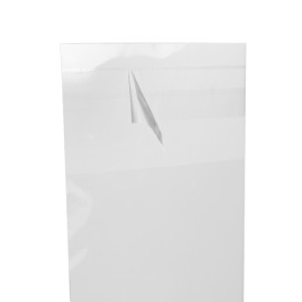 Bolsas de Plástico Biorientado con Solapa Adhesiva 7x10 cm G-160 (100 Uds)