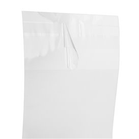 Bolsas de Plástico Biorientado con Solapa Adhesiva 8x12 cm G-160 (1000 Uds)