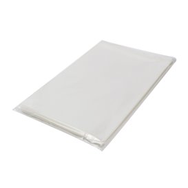 Bolsas de Plástico Biorientado con Solapa Adhesiva 18x25 cm G-160 (100 Uds)