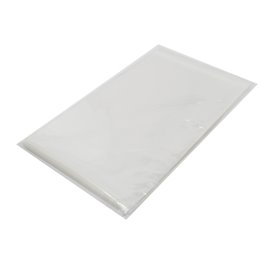 Bolsas de Plástico Biorientado con Solapa Adhesiva 22x32 cm G-160 (1000 Uds)