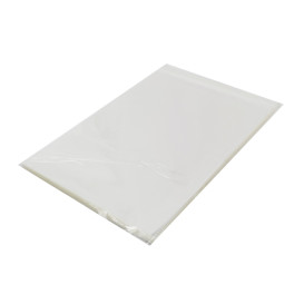 Bolsas de Plástico Biorientado con Solapa Adhesiva 25x35 cm G-160 (100 Uds)