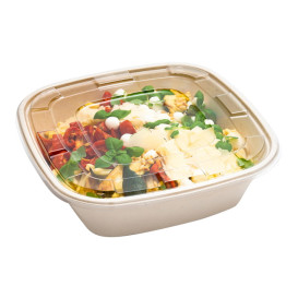 Tapa Plástico PET Transparente para Bol 36x36cm (25 Uds)