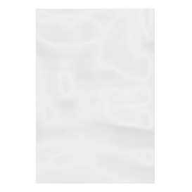 Bolsa de Polietileno Sin Cierre 15x30cm G-100 (1000 Uds)