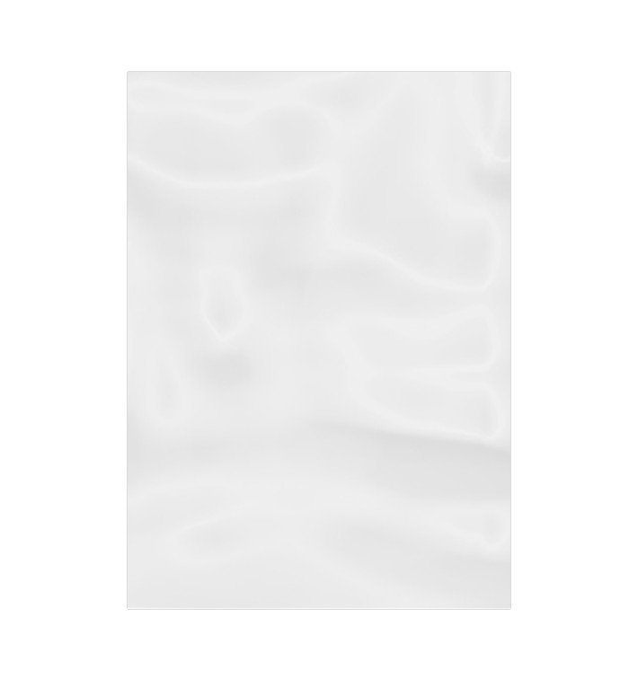 Bolsa de Polietileno Sin Cierre 16x22cm G-100 (100 Uds)