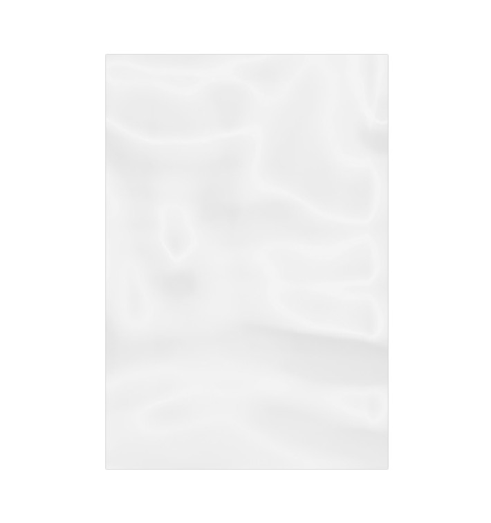 Bolsa de Polietileno Sin Cierre 20x30cm G-100 (100 Uds)