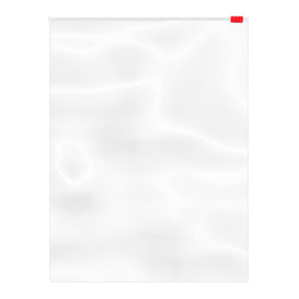 Bolsa Polietileno Cierre por Cursor 24x32cm G250 (1000 Uds)