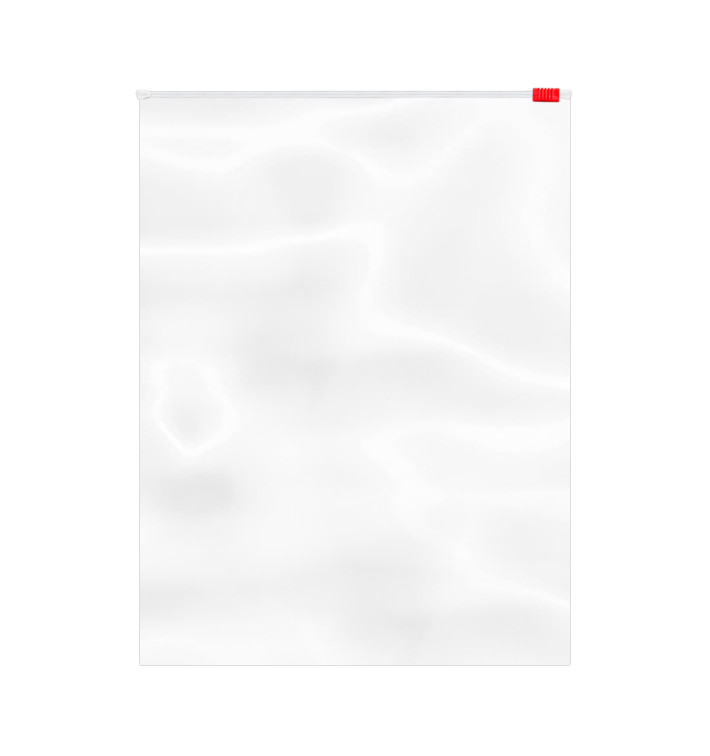 Bolsa Polietileno Cierre por Cursor 24x32cm G250 (1000 Uds)