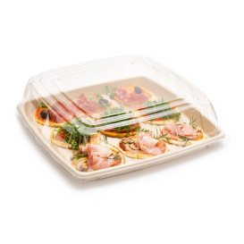 Tapa Plástico PET Transparente Bandeja 40x40cm (5 Uds)