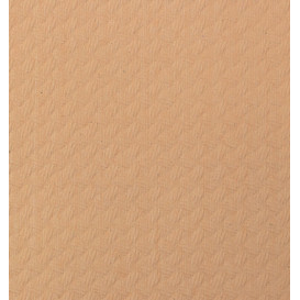 Mantel Individual de Papel Salmón 30x40cm 40g/m² (500 Uds)