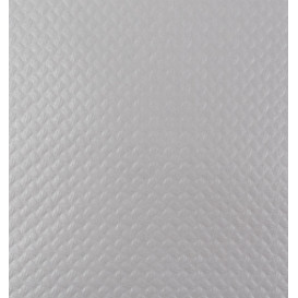 Mantel Individual de Papel 30x40cm Plata 45g/m² (500 Uds)