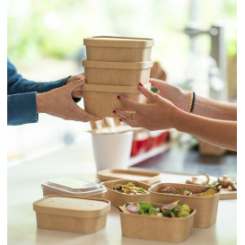 Envase Rectangular Kraft Microondable 750ml 17,2x12x5,8cm (300 Uds)