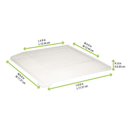 Tapa de Plástico PET Transparente de 17x17cm (100 Uds)