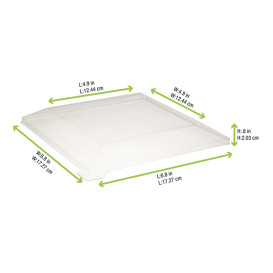 Tapa de Plástico PET Transparente de 17x17cm (25 Uds)